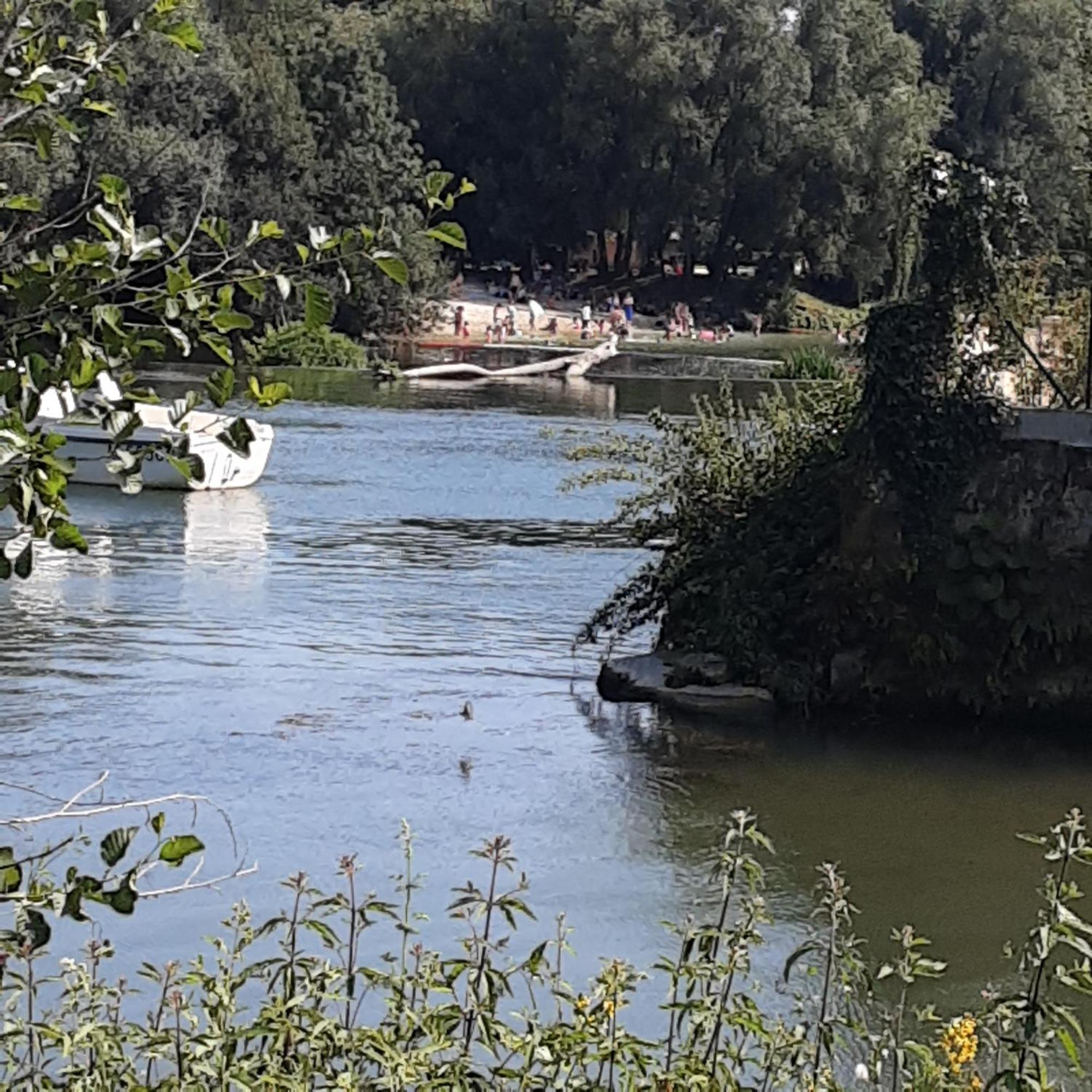Annexe Du Pont De La Charente Châteauneuf-sur-Charente Exterior foto