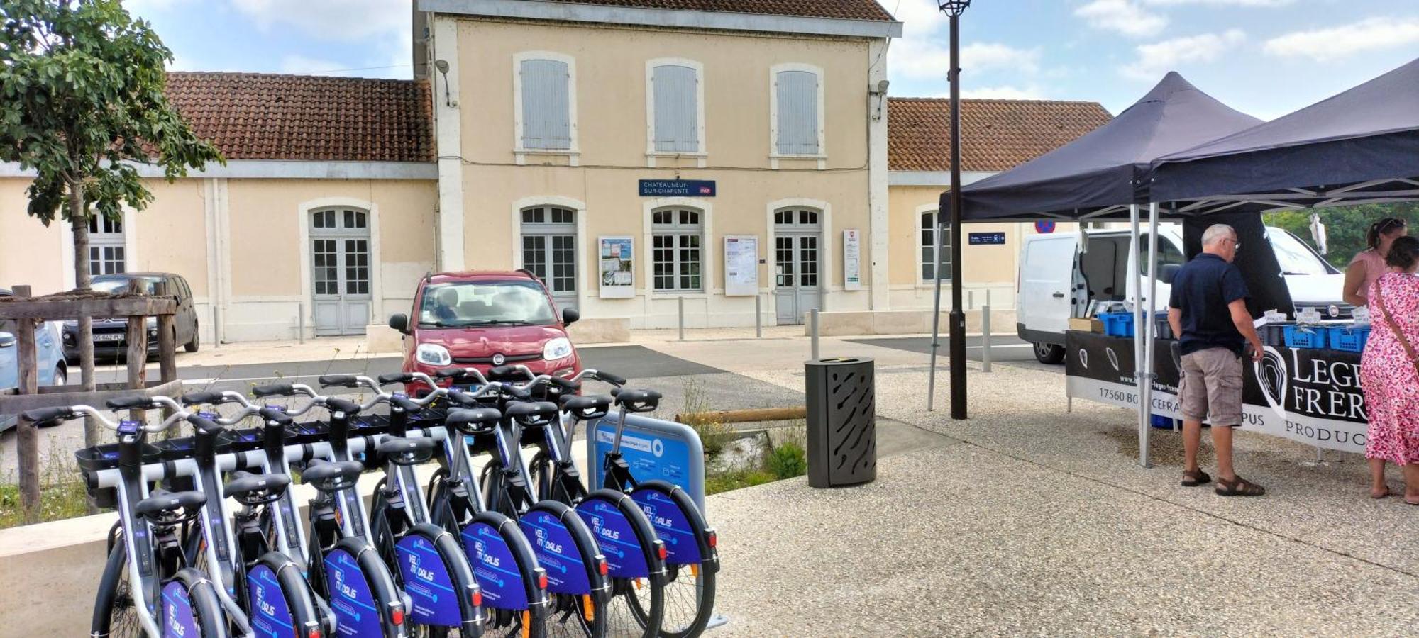Annexe Du Pont De La Charente Châteauneuf-sur-Charente Exterior foto